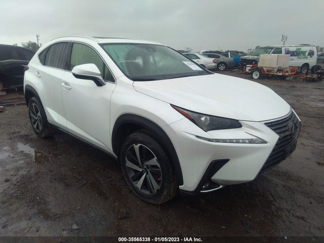2020 Lexus NX, VIN: JTJDARBZXL5002941