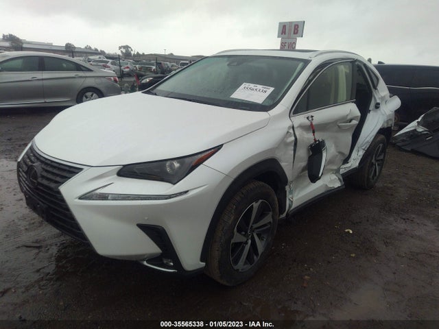 2020 Lexus NX, VIN: JTJDARBZXL5002941