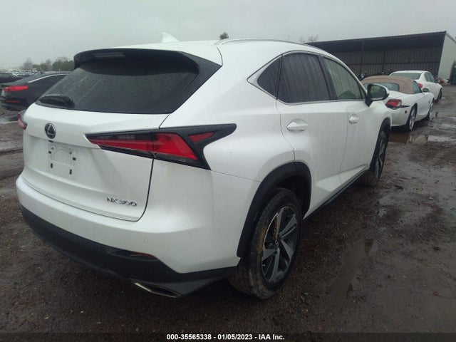 2020 Lexus NX, VIN: JTJDARBZXL5002941
