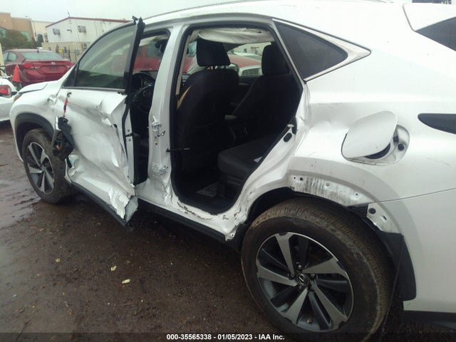 2020 Lexus NX, VIN: JTJDARBZXL5002941