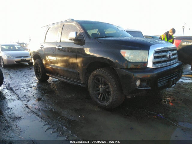 2010 TOYOTA SEQUOIA PLATINUM VIN: 5TDDY5G10AS027641