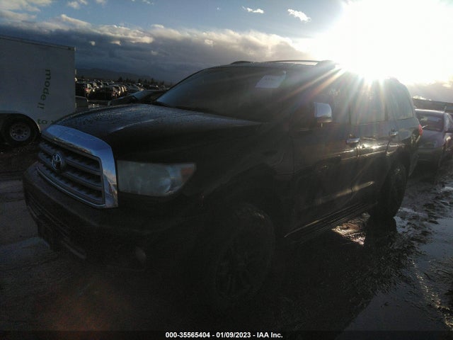 2010 TOYOTA SEQUOIA PLATINUM VIN: 5TDDY5G10AS027641