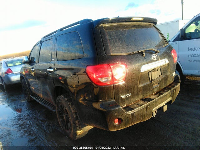2010 TOYOTA SEQUOIA PLATINUM VIN: 5TDDY5G10AS027641