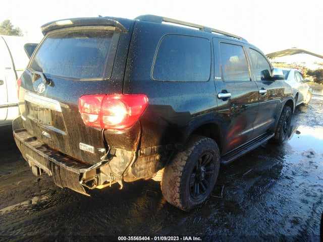 2010 TOYOTA SEQUOIA PLATINUM VIN: 5TDDY5G10AS027641