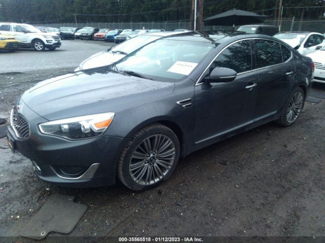 KNALN4D74F5193663 KIA Cadenza Limited