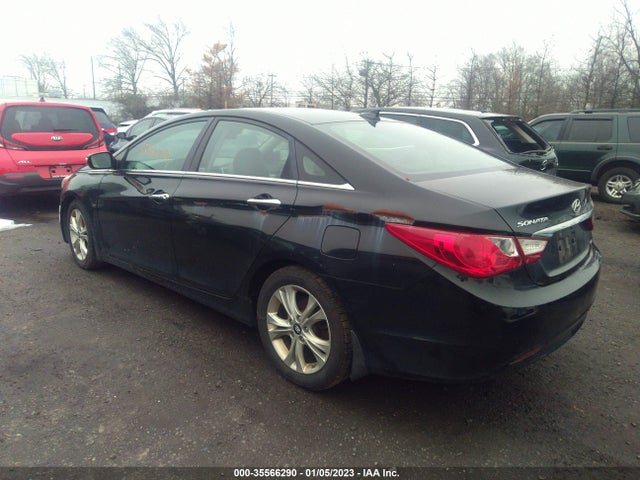 2013 HYUNDAI SONATA LIMITED PZEV VIN: 5NPEC4AC1DH556839