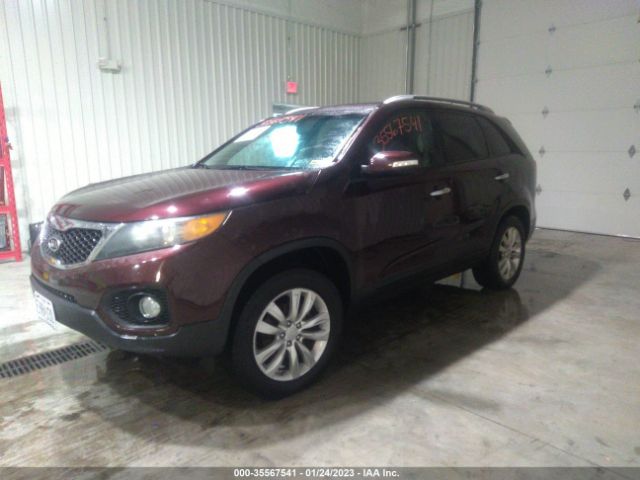 5XYKU3A13BG151577 KIA SORENTO EX