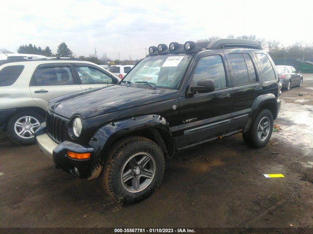 2004 JEEP LIBERTY RENEGADE VIN: 1J4GL38K64W297673