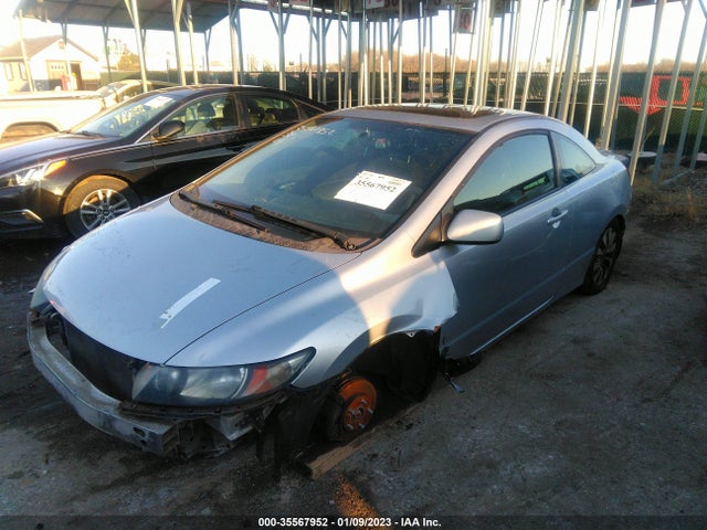 2010 HONDA CIVIC CPE EX VIN: 2HGFG1B80AH516601