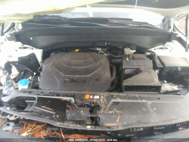 KIA Telluride 2022 5XYP5DHC5NG275998 Image 11