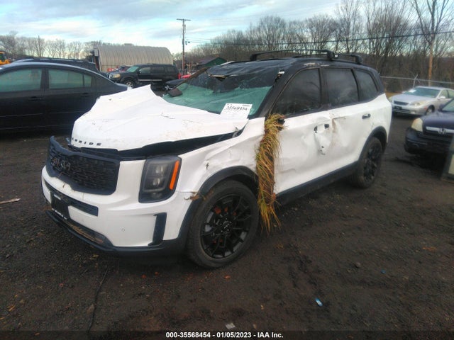 KIA Telluride 2022 5XYP5DHC5NG275998 Image 2