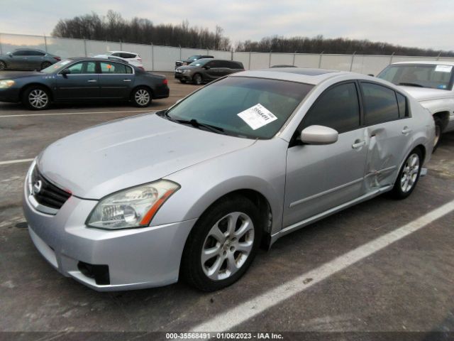 1N4BA41E98C834159 Nissan Maxima 3.5 Sl