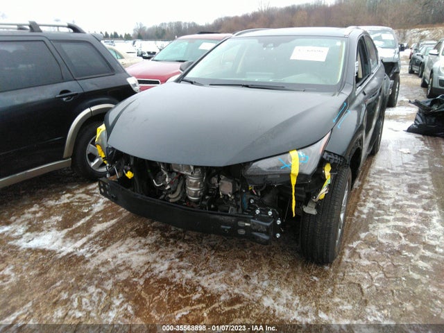 Lexus Nx Nx 300 2021 JTJDARDZ8M2249617 Image 7