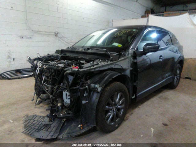 2020 Mazda CX-9, VIN: JM3TCBCY2L0421697