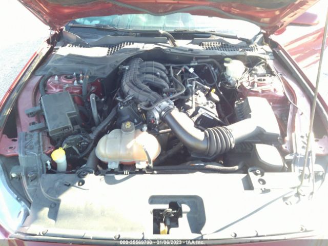1FA6P8AM4F5431058 Ford Mustang V6
