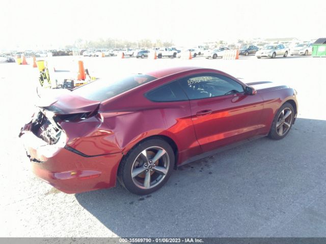 1FA6P8AM4F5431058 Ford Mustang V6
