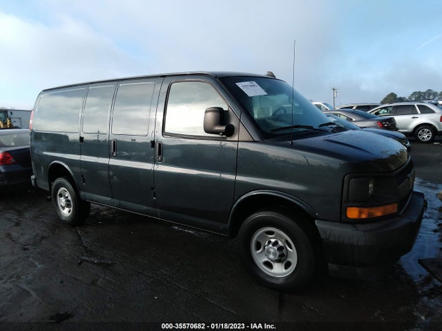 2017 Chevrolet Express, VIN: 1GCWGAFF5H1166446