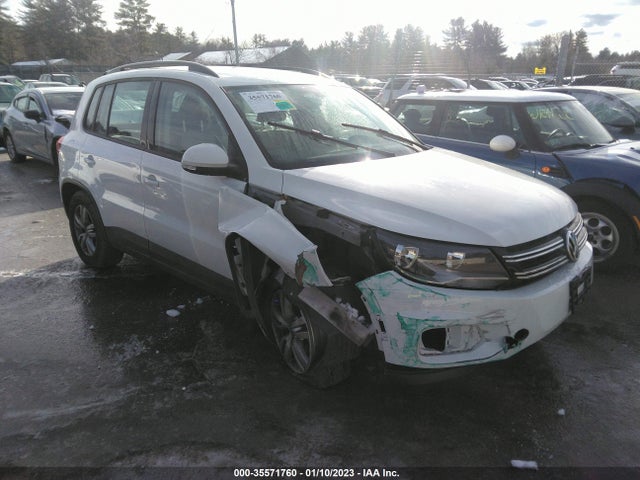 2017 Volkswagen Tiguan, VIN: WVGBV7AXXHW510391
