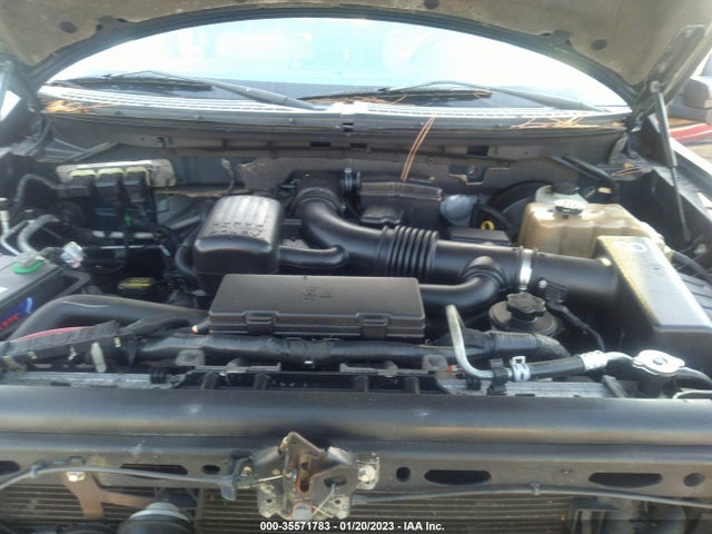 2010 FORD F-150 XL/XLT VIN: 1FTFW1CV6AFD78831