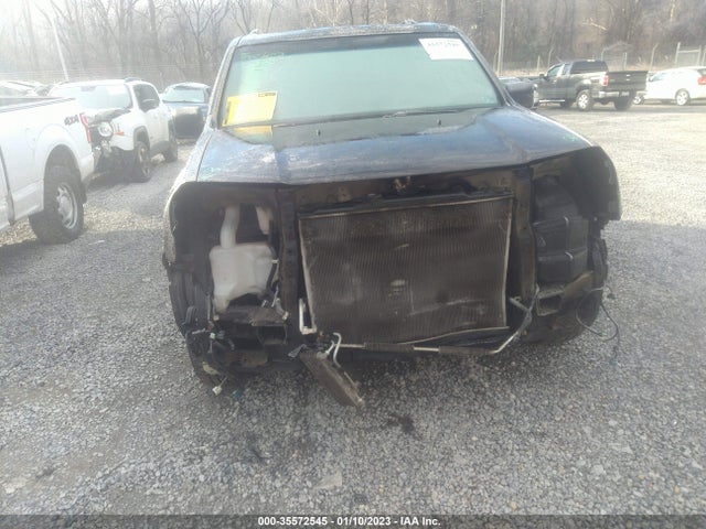 2009 HONDA PILOT EX-L VIN: 5FNYF48619B023318