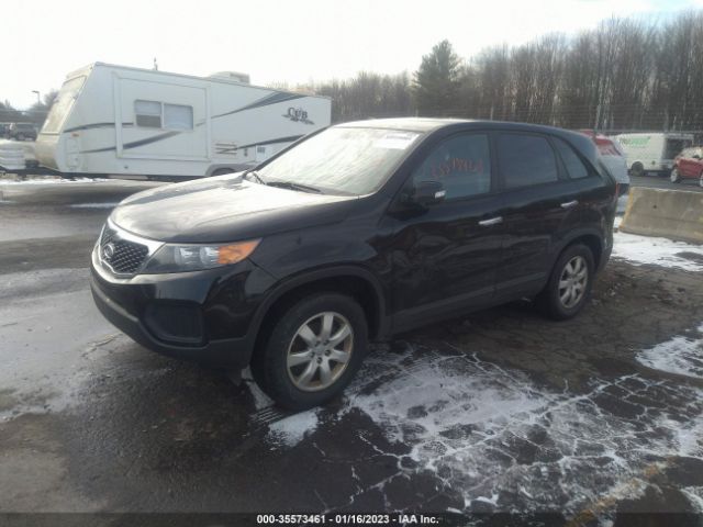 5XYKTDA6XDG385156 KIA Sorento