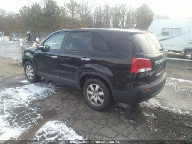 5XYKTDA6XDG385156 KIA Sorento