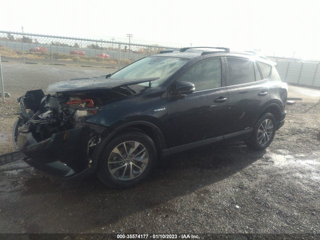 2017 Toyota RAV4, VIN: JTMRJREV7HD151094
