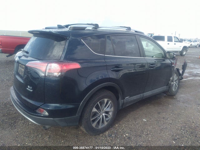 2017 Toyota RAV4, VIN: JTMRJREV7HD151094