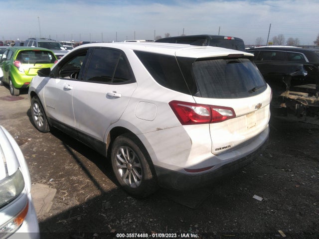2019 Chevrolet Equinox, VIN: 3GNAXHEV2KS670493