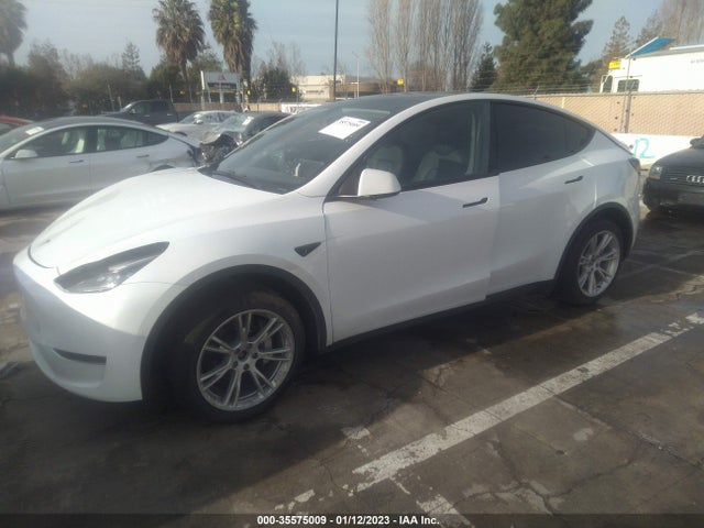 2022 Tesla Model Y, VIN: 7SAYGDEE3NF360062