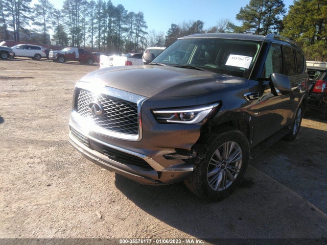 2019 Infiniti QX80, VIN: JN8AZ2NE5K9233790