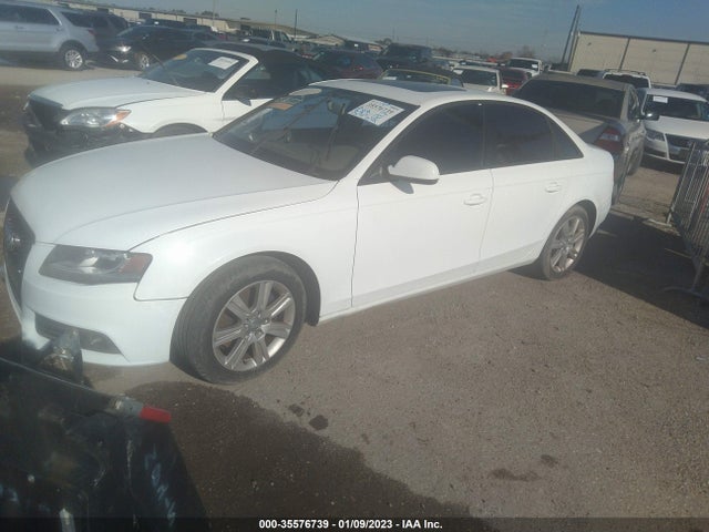 WAUAFAFL2AN021864 Audi A4 2.0t Premium