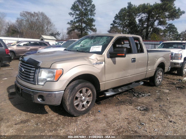 2010 FORD F-150 XL/STX/XLT/FX2 SPORT VIN: 1FTEX1C8XAFB38586