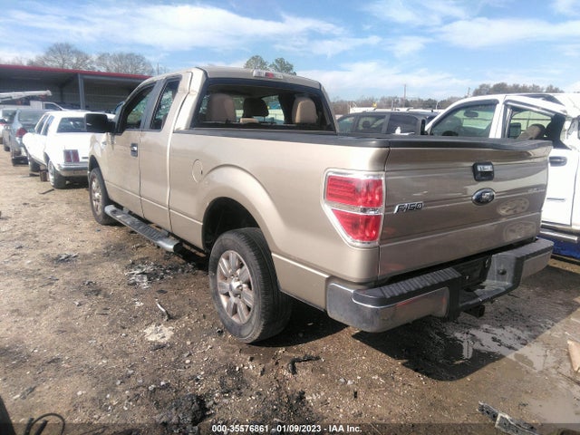 2010 FORD F-150 XL/STX/XLT/FX2 SPORT VIN: 1FTEX1C8XAFB38586
