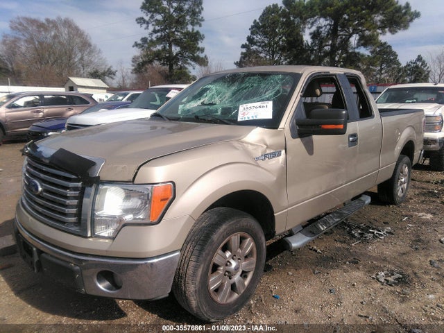2010 FORD F-150 XL/STX/XLT/FX2 SPORT VIN: 1FTEX1C8XAFB38586