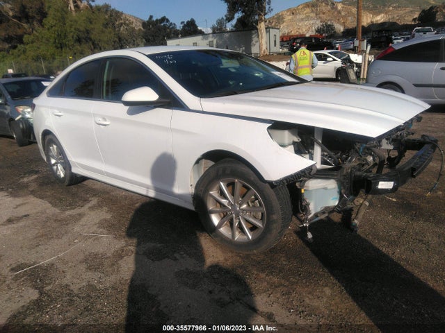 2019 Hyundai Sonata, VIN: 5NPE24AF4KH794050