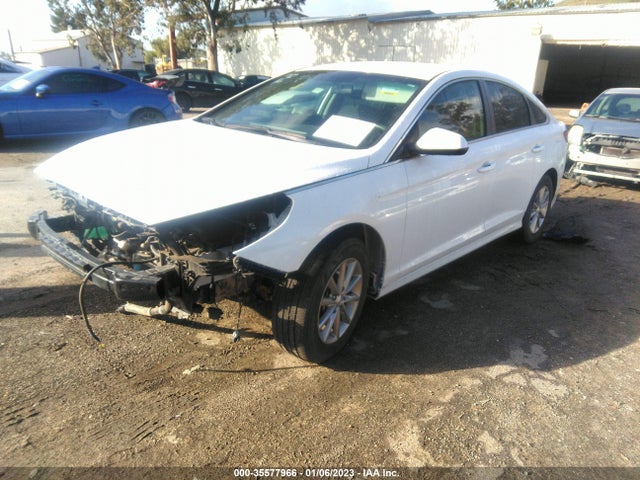 2019 Hyundai Sonata, VIN: 5NPE24AF4KH794050