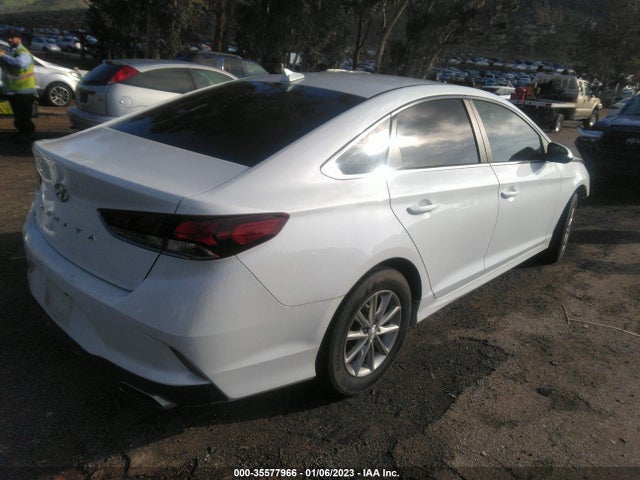 2019 Hyundai Sonata, VIN: 5NPE24AF4KH794050