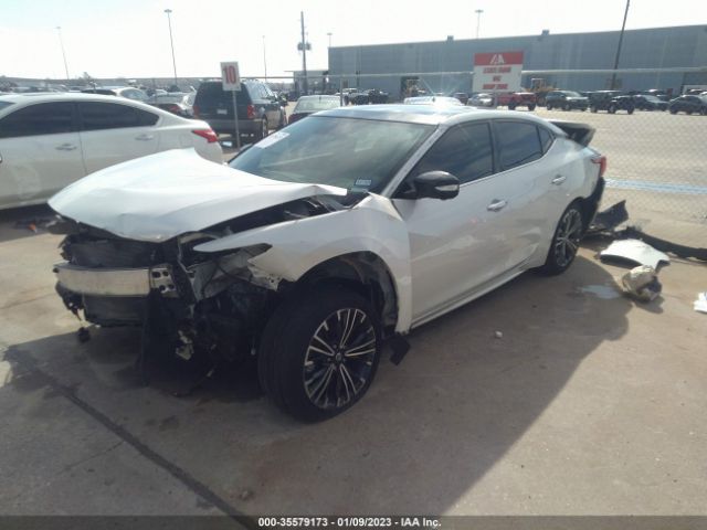1N4AA6AP8HC398185 Nissan Maxima Platinum