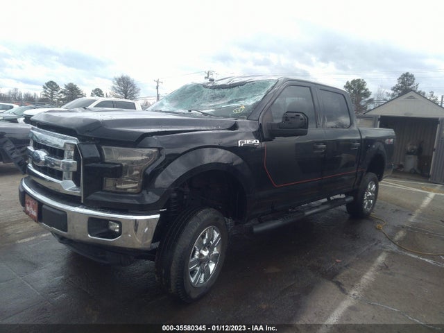 2016 FORD F-150 XLT/XL VIN: 1FTEW1E83GFC93263