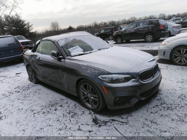 2017 BMW 2 Series, VIN: WBA2K9C52HV647073