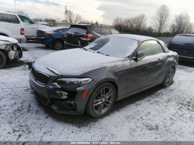 2017 BMW 2 Series, VIN: WBA2K9C52HV647073