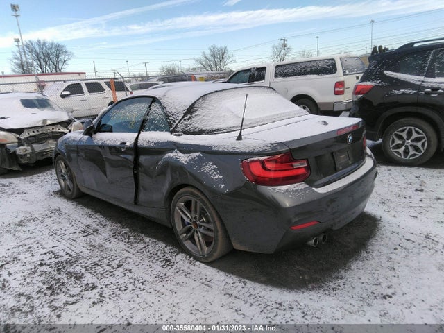 2017 BMW 2 Series, VIN: WBA2K9C52HV647073