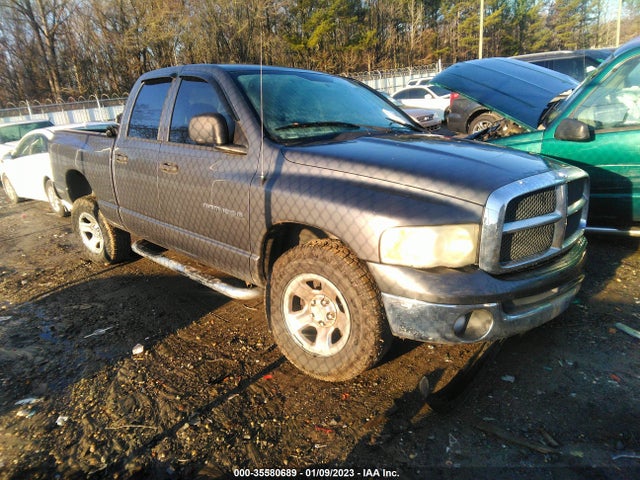 Dodge Ram 1500 St/slt 2003 1D7HA18N53J596779 главное изображение