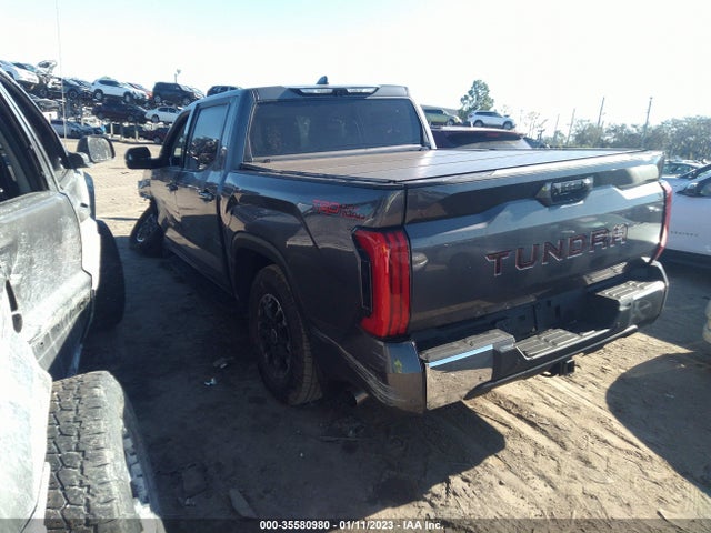 2022 Toyota Tundra, VIN: 5TFLA5AB8NX016338