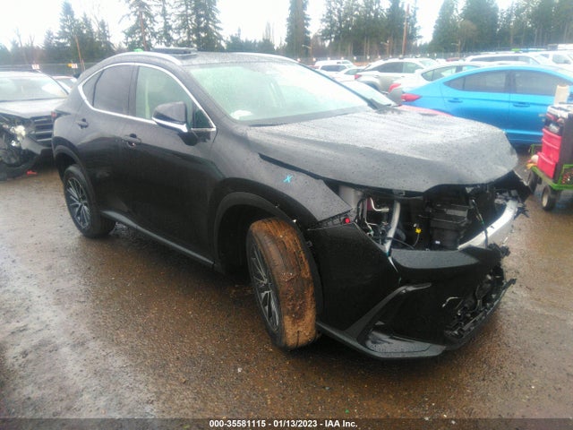 2022 Lexus NX, VIN: 2T2AGCEZ1NC003331