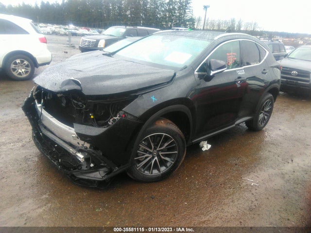 2022 Lexus NX, VIN: 2T2AGCEZ1NC003331