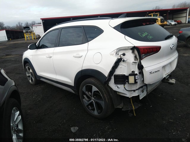 2018 Hyundai Tucson, VIN: KM8J33A23JU668958