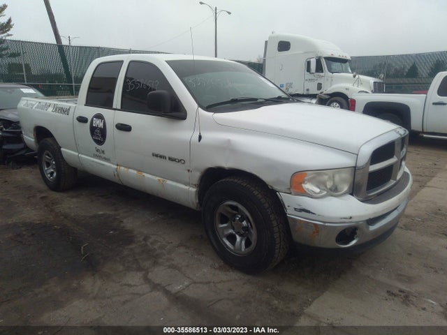 Dodge RAM 1500 2005 1D7HA18N85J522789 главное изображение