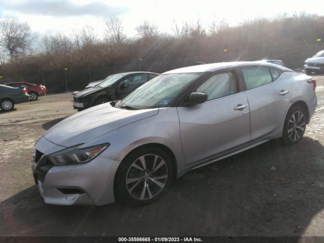 1N4AA6AP1GC418520 Nissan Maxima